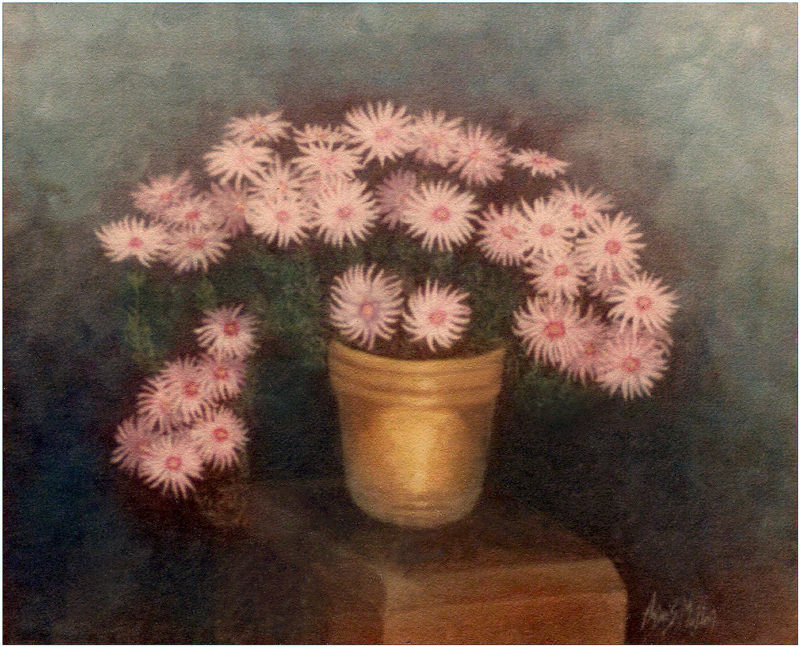 Remarkable oil painting of a flower pot of Lampranthus roseus. Artwork by Andreas Mujica