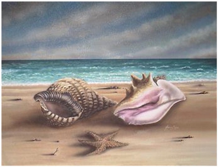 Rendition of Nacre, Oil Painting by Andreas Mujica is an exceptional artwork that  shows shells on the beach